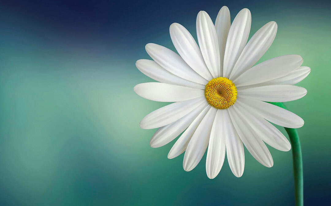 Co doopravdy tvoří životní úroveň