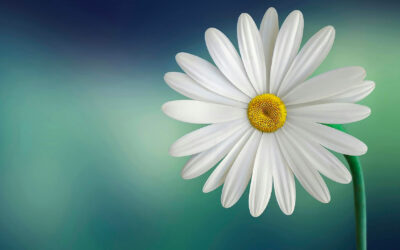 Co doopravdy tvoří životní úroveň